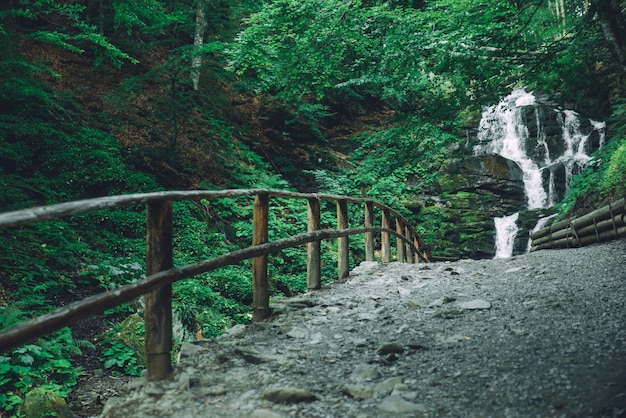 Cascata nel sentiero del turismo forestale