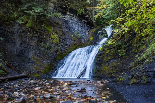 Cascata nella bellissima foresta verde