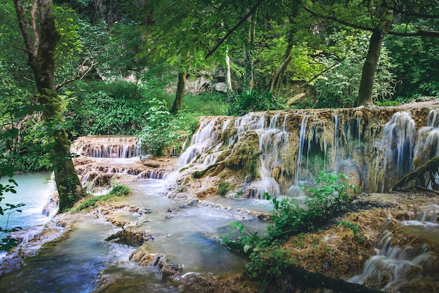 Cascata nella foresta chiamata cascate di Kroshuna in Bulgaria