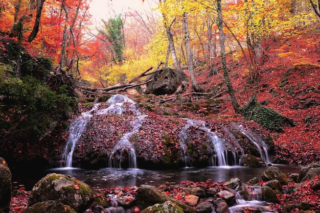 cascata nella foresta d'autunno