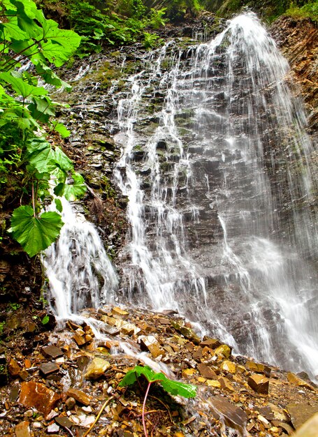 Cascata nella foresta di montagna bellissimo sfondo di muschio d'acqua di pietra