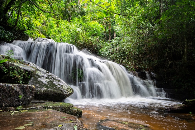 Cascata nella foresta pluviale, provincia di Phitsanulok, Tailandia