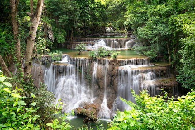 Cascata nella foresta pluviale