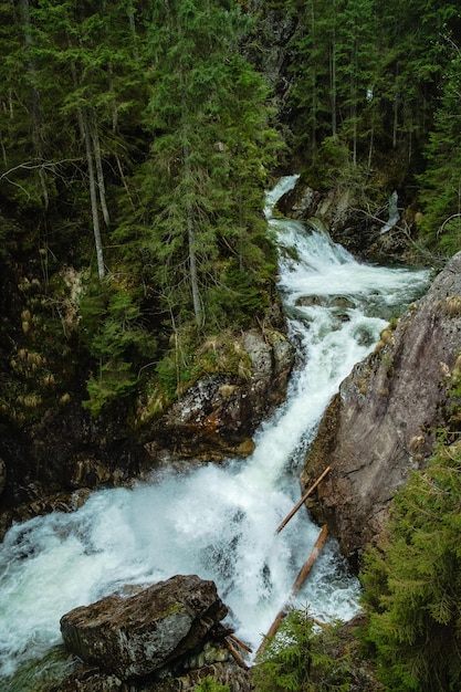 Cascata nella foresta primaverile