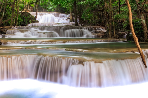 Cascata nella foresta profonda