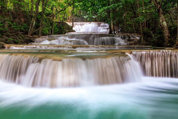 Cascata nella foresta profonda