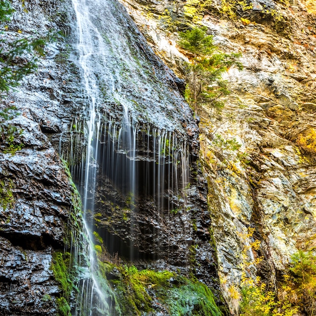 Cascata nella foresta selvaggia. Cascata d'acqua dalla roccia