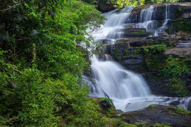 Cascata nella foresta sulla montagna.