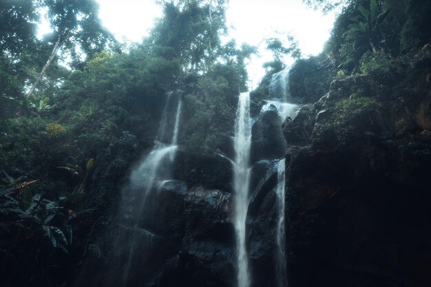 Cascata nella foresta tropicale nella stagione delle piogge