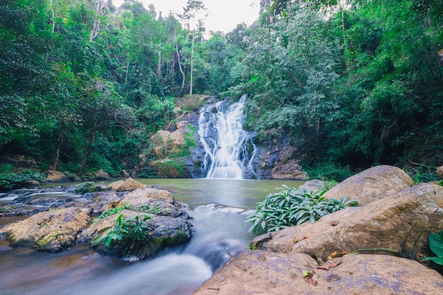 Cascata nella foresta