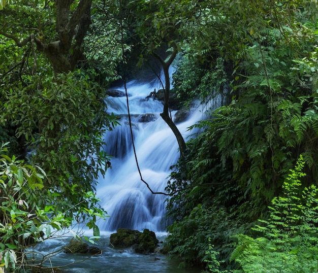 Cascata nella foresta