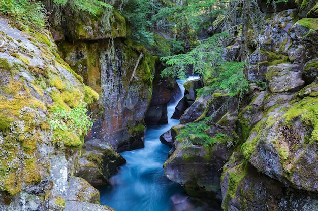 Cascata nella foresta