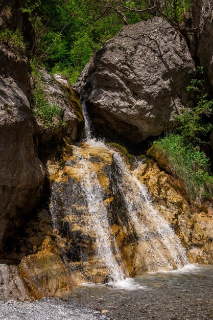 cascata nella foresta