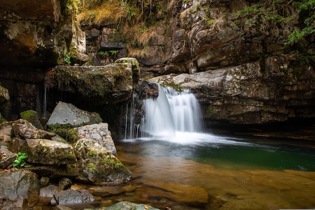 cascata nella foresta