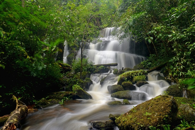 Cascata nella foresta