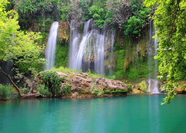 Cascata nella foresta