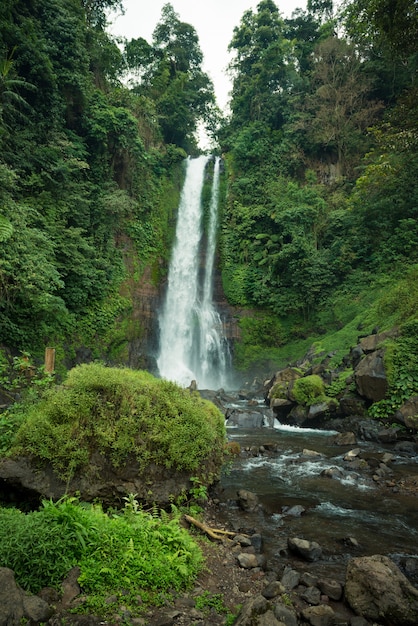 Cascata nella giungla di Bali