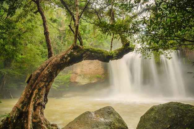 Cascata nella stagione delle piogge