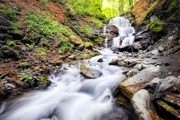 Cascata nelle rocce tra gli alberi