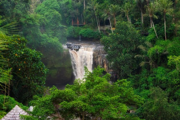 Cascata panoramica nella foresta pluviale sull'isola di Bali Indonesia