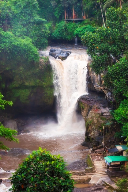 Cascata panoramica nella foresta pluviale sull'isola di Bali Indonesia
