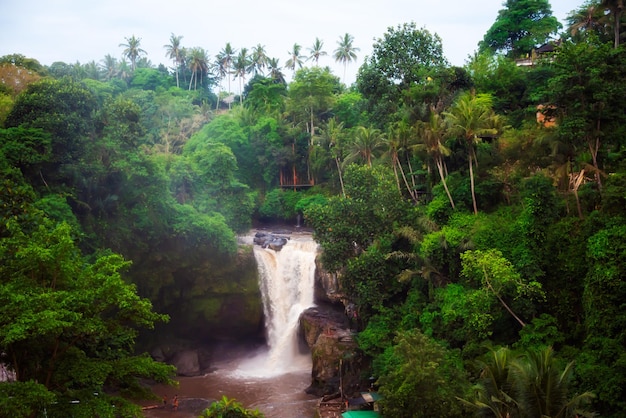 Cascata panoramica nella foresta pluviale sull'isola di Bali Indonesia