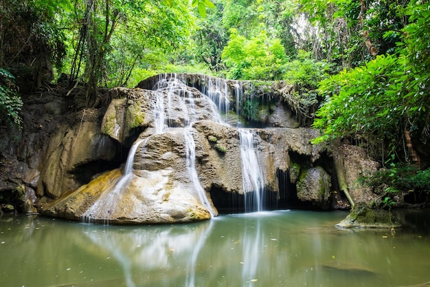 Cascata profonda foresta scenica naturale