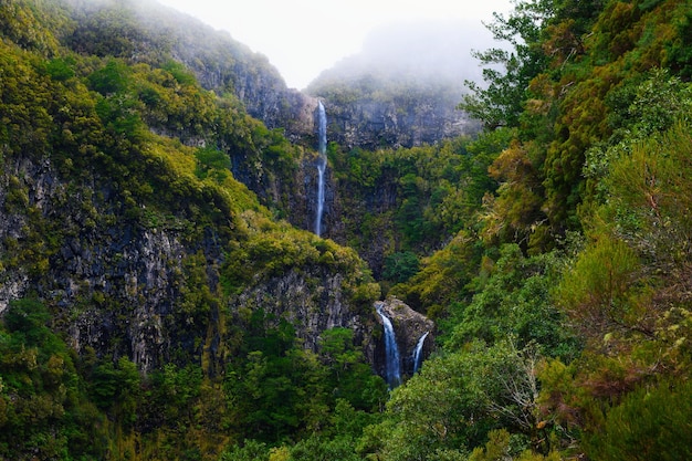 Cascata Risco nelle isole Madeira Portogallo