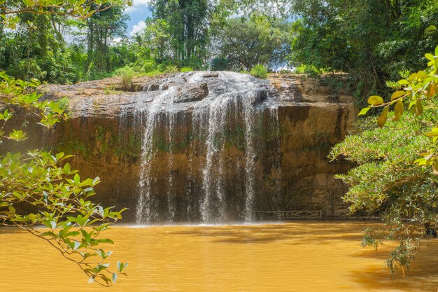 Cascata selvaggia tropicale della foresta nel giorno soleggiato