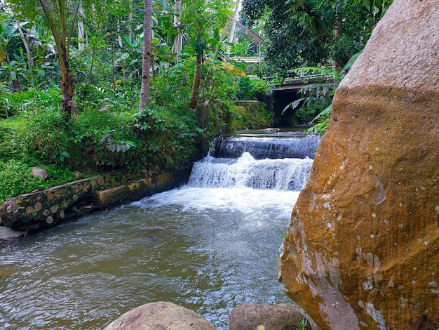 cascata sfondo vintage bella natura tonificante primavera natura design fiume tropicale