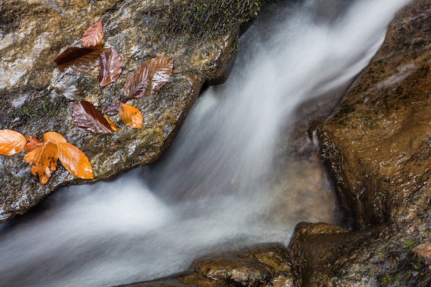 Cascata Skakalo nelle montagne carpatiche, Transcarpathia, Ucraina