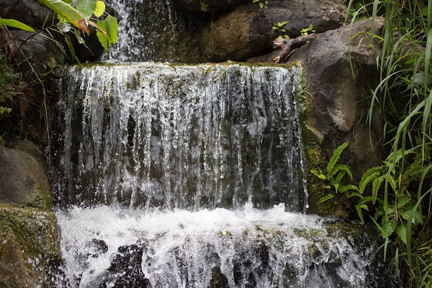 Cascata su pietra con muschio per