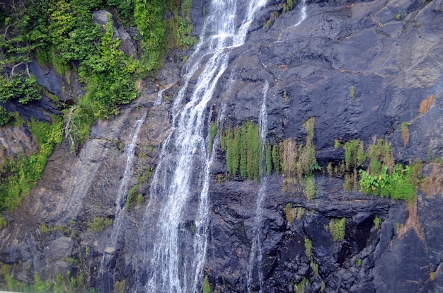 Cascata sul primo piano della cascata della collina