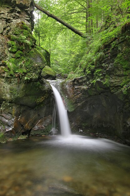 Cascata sul Silver Brook Repubblica Ceca