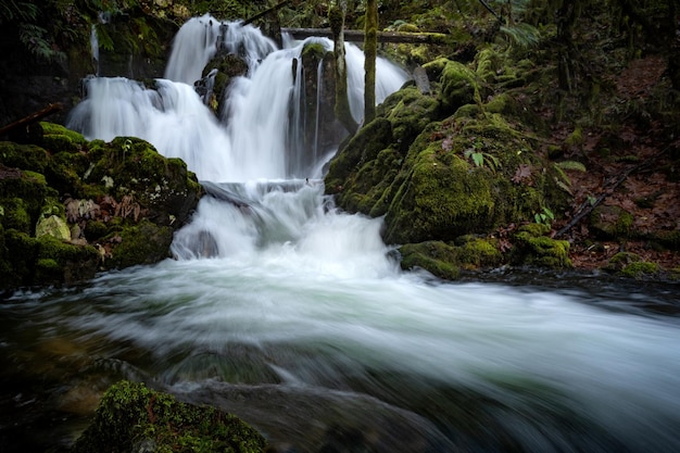 Cascata sull'isola di Vancouver, BC Canada