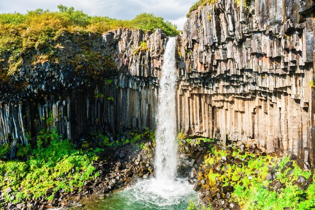 Cascata Svartifoss con colonne di basalto. Parco nazionale di Skaftafell, Islanda meridionale