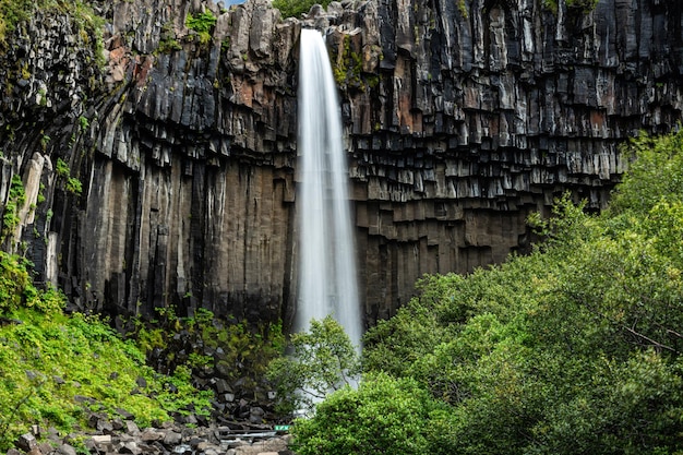 Cascata Svartifoss nel Parco Nazionale di Skaftafell Islanda