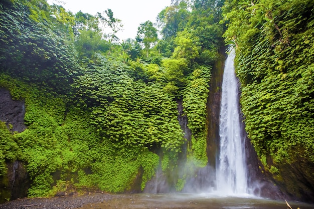 Cascata. Turismo esotico. Il resto dell'equatore. Bali Indonesia