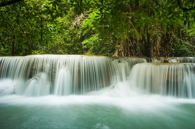 Cascata verde bellissima e mozzafiato