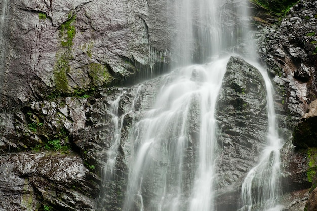 cascata