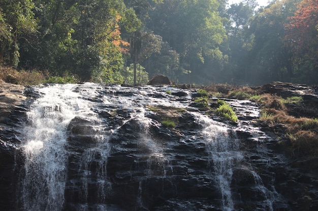 Cascata