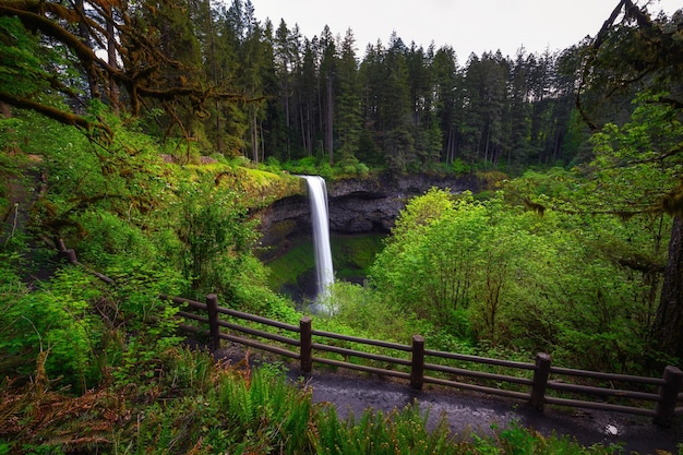 Cascate del sud nel parco statale di Silver Falls nell'Oregon