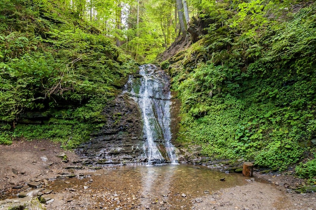 Cascate della foresta in montagna