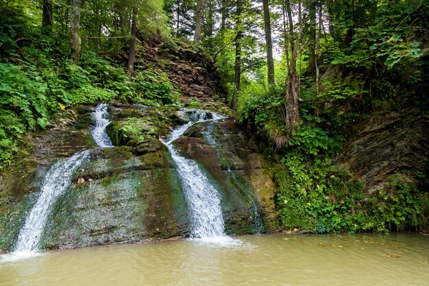 Cascate della foresta in montagna