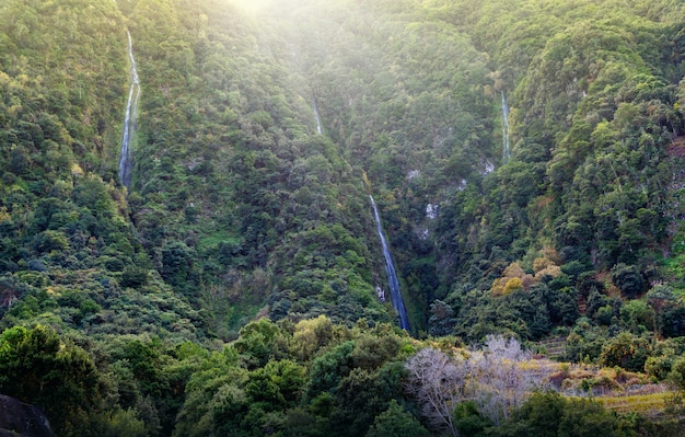 Cascate di cristallo nelle montagne di Madeira, Portogallo