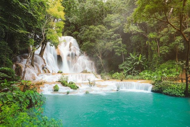 Cascate di Kuang Si a Luang Prabang Laos.