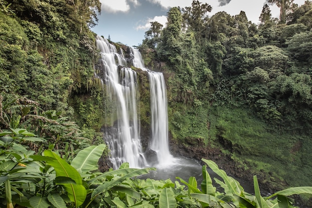 Cascate di Tad Fane in Laos