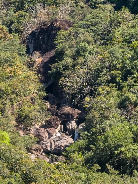 Cascate in fiumi e ruscelli all'inizio della stagione estiva a Panama