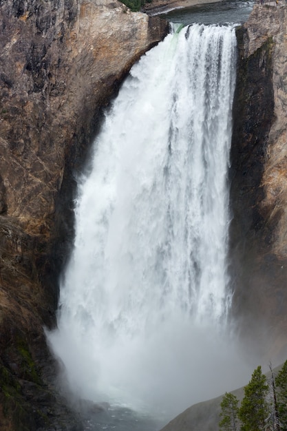 Cascate inferiori di Yellowstone