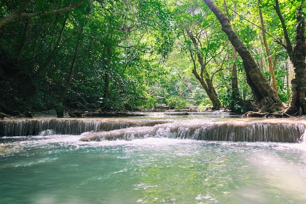 Cascate naturali nell&#39;ambiente fertile della foresta